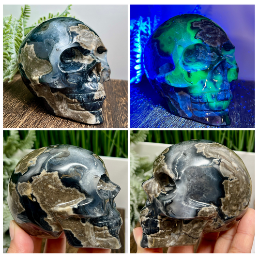 Volcanic Agate Skull UV Reactive Healing Crystal Carving 580g