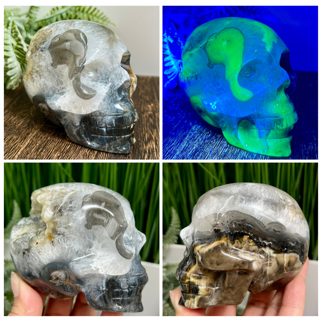 Volcanic Agate Quartz Skull UV Reactive Healing Crystal Carving 500g