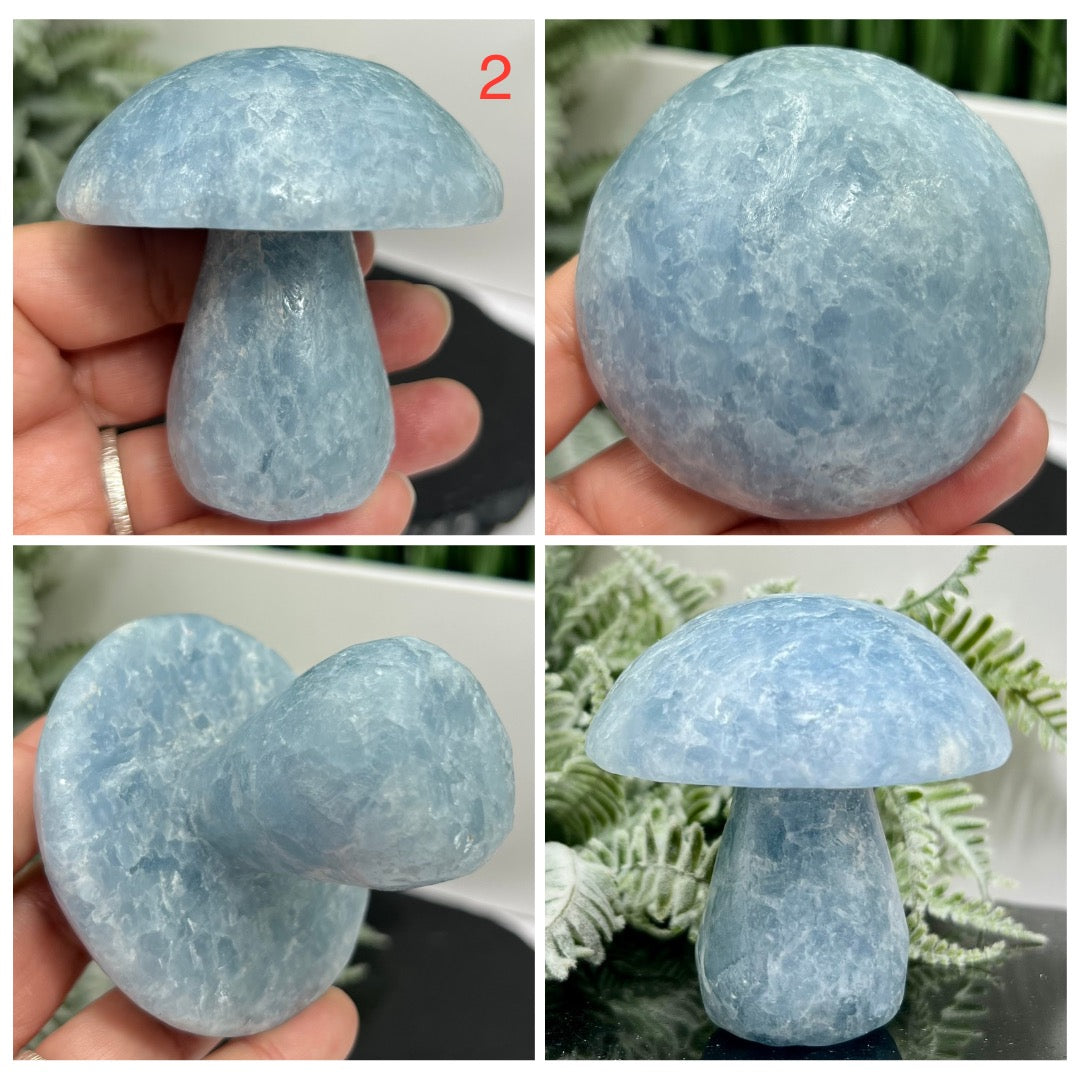 Large Blue Calcite Mushrooms Crystal Carvings YOU CHOOSE