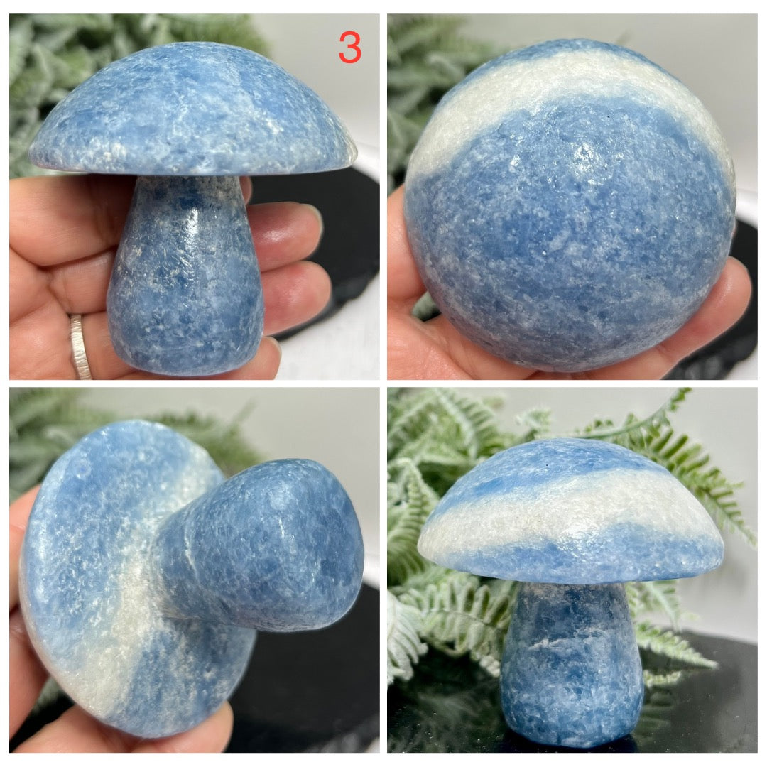 Large Blue Calcite Mushrooms Crystal Carvings YOU CHOOSE