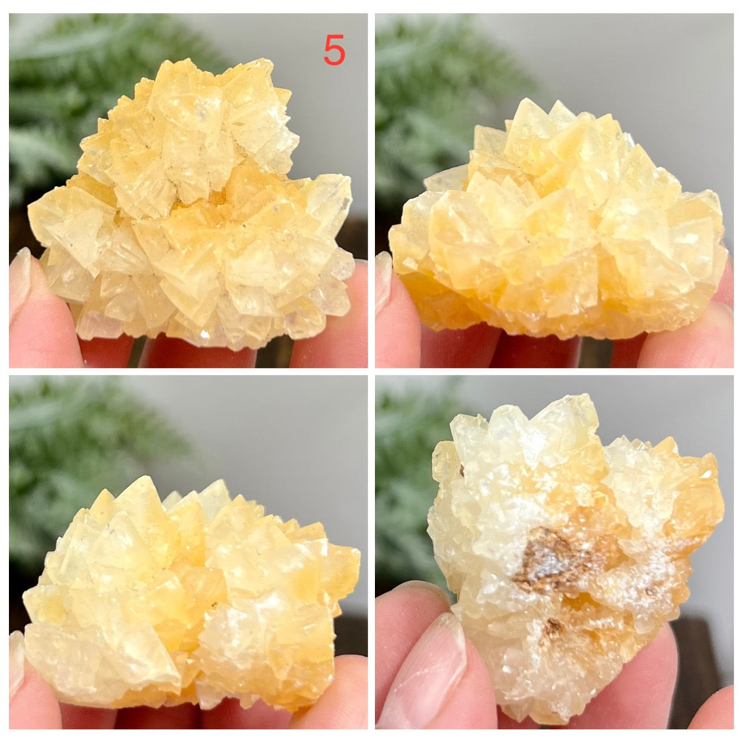 Yellow Calcite Clusters Natual Raw Specimens Crystals YOU CHOOSE