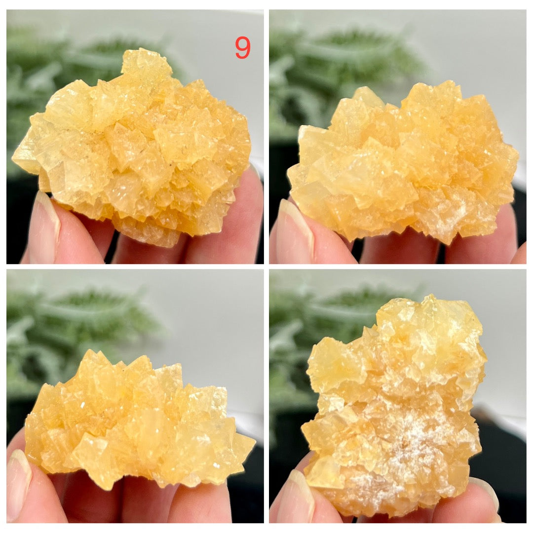 Yellow Calcite Clusters Natual Raw Specimens Crystals YOU CHOOSE