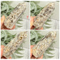 Sphalerite Druzy Points Towers Crystal Generators YOU CHOOSE