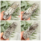 Sphalerite Druzy Points Towers Crystal Generators YOU CHOOSE