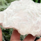 Pink Mica Calcite UV Reactive Raw Natural Specimen 612g