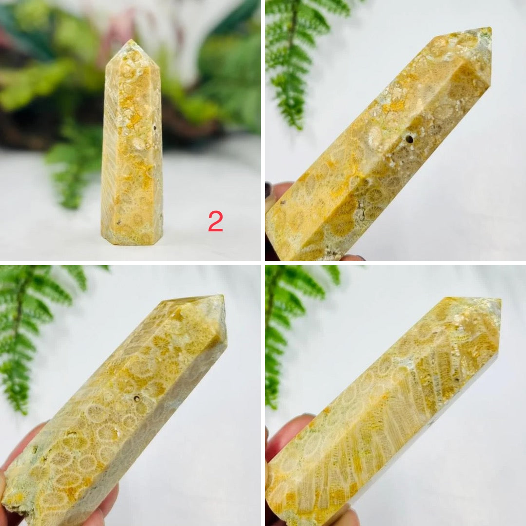 Fossil Coral Jasper Points Towers Crystal Generators YOU CHOOSE