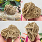 Desert Rose Selenite Barite Specimens Natural Crystal YOU CHOOSE