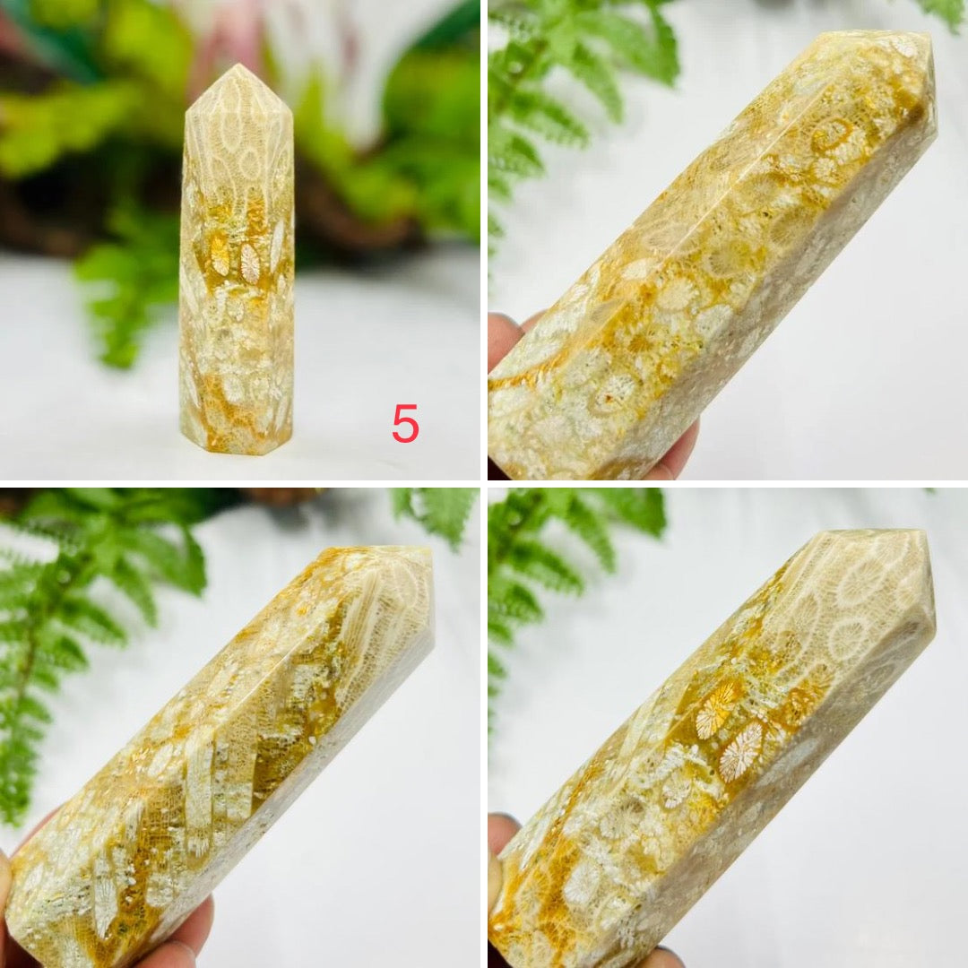 Fossil Coral Jasper Points Towers Crystal Generators YOU CHOOSE
