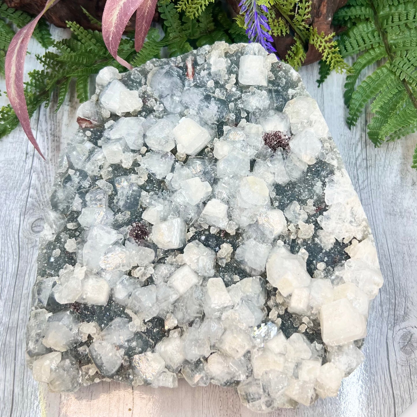 Large Apophyllite Cluster Specimen 2437g