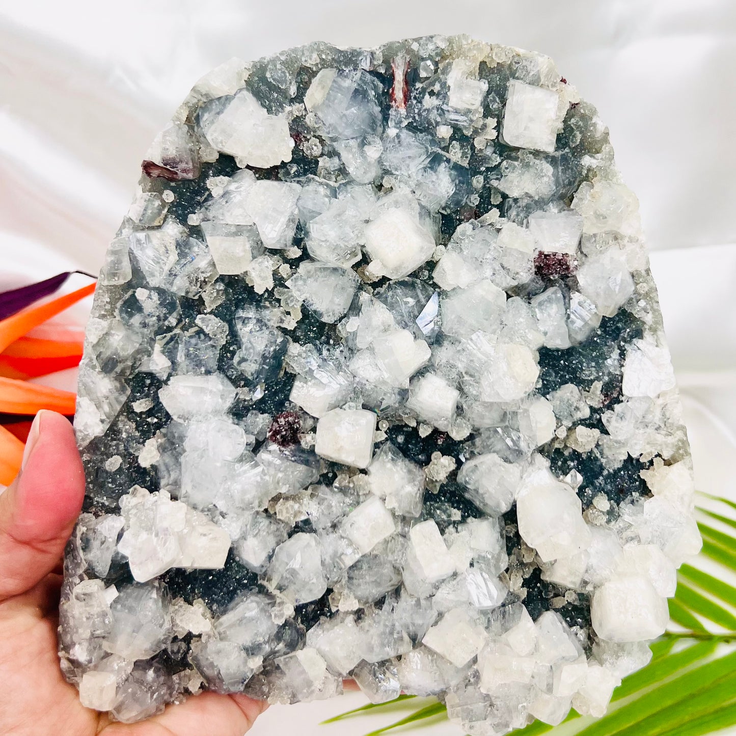 Large Apophyllite Cluster Specimen 2437g