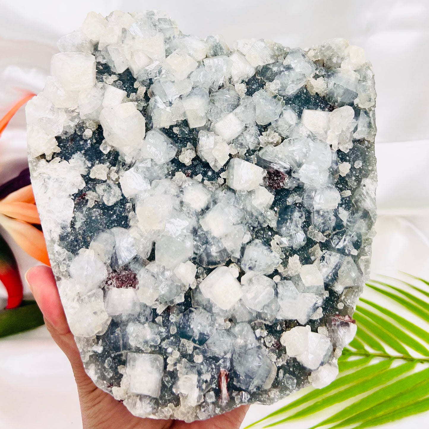 Large Apophyllite Cluster Specimen 2437g