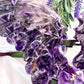Chevron Dream Amethyst Butterfly Wings with Stand Crystal Carving