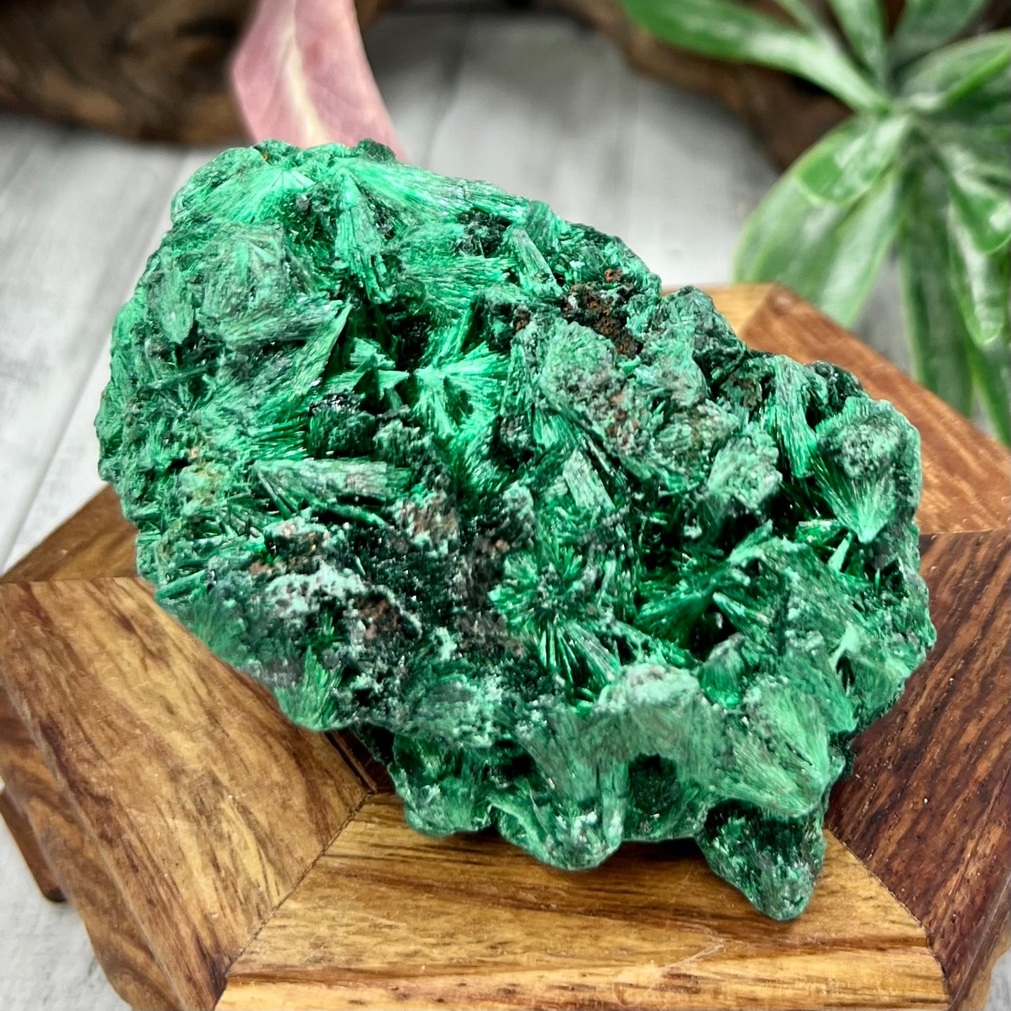 Malachite Specimen Raw Crystal 212g