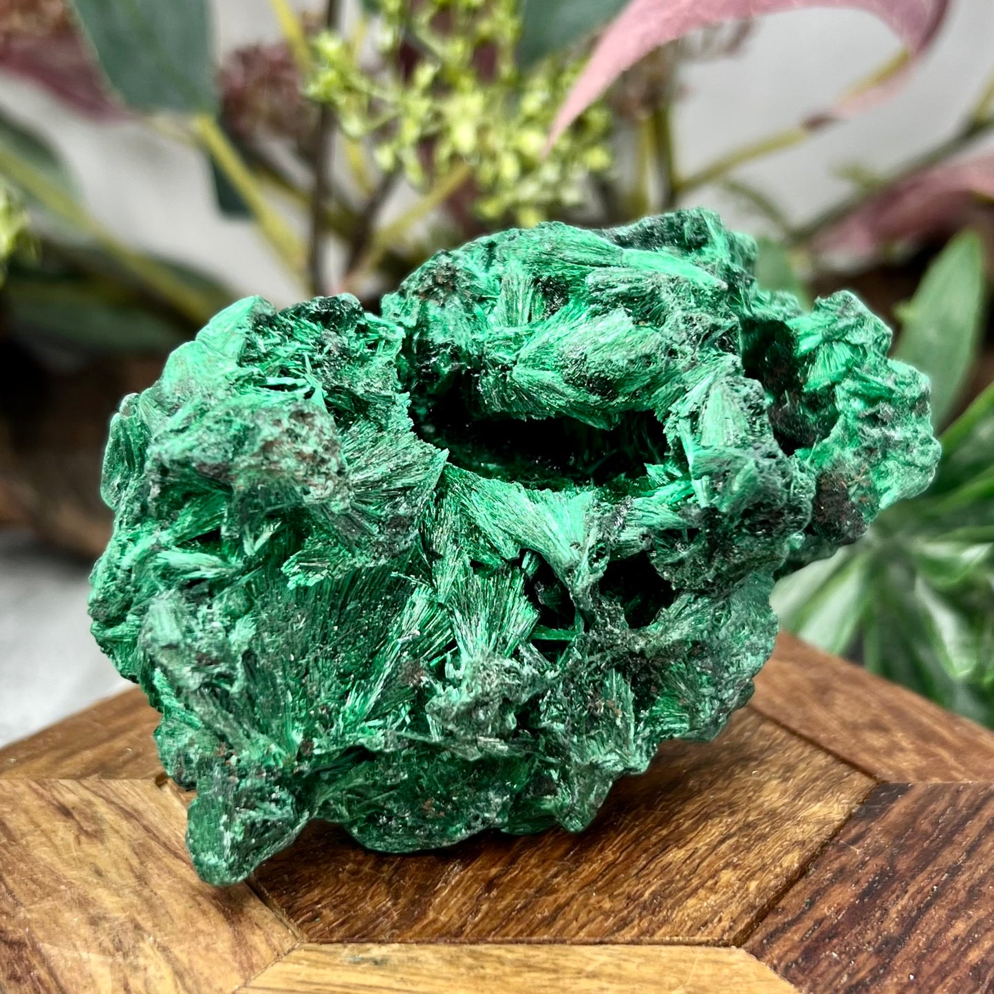Malachite Specimen Raw Crystal 212g