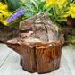 Lodolite Garden Quartz Free Form with Stand Crystal 322g