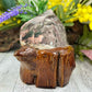 Lodolite Garden Quartz Free Form with Stand Crystal 322g