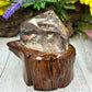 Lodolite Garden Quartz Free Form with Stand Crystal 322g