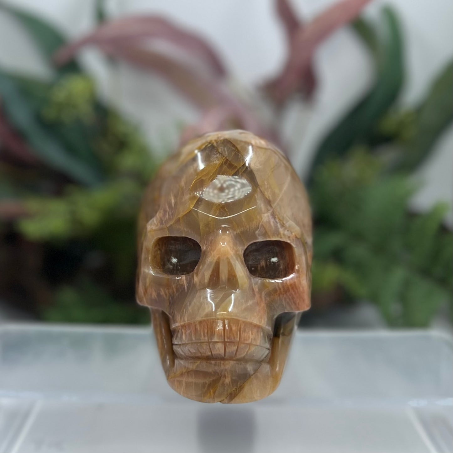 Large Golden Moonstone Skull Crystal Skull Carving 991g