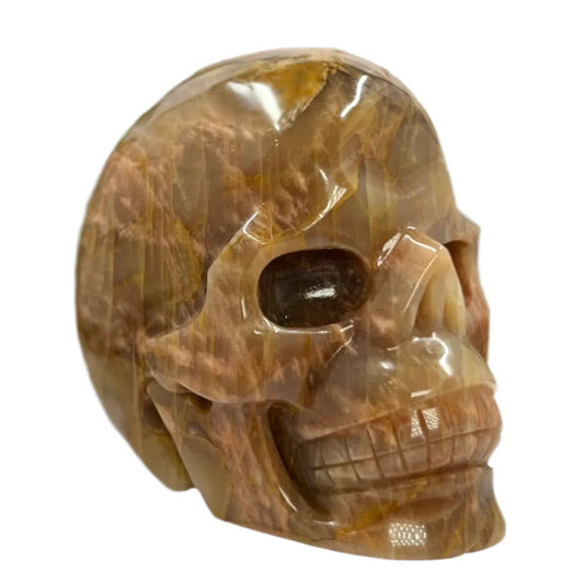 Large Golden Moonstone Skull Crystal Skull Carving 991g