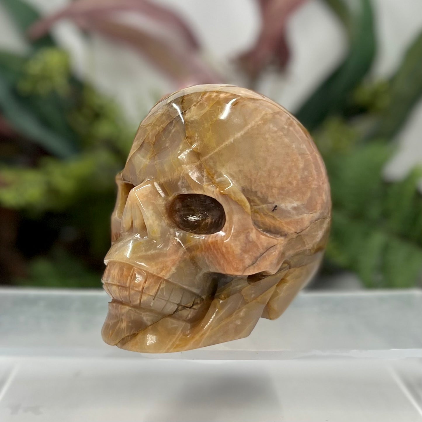 Large Golden Moonstone Skull Crystal Skull Carving 991g