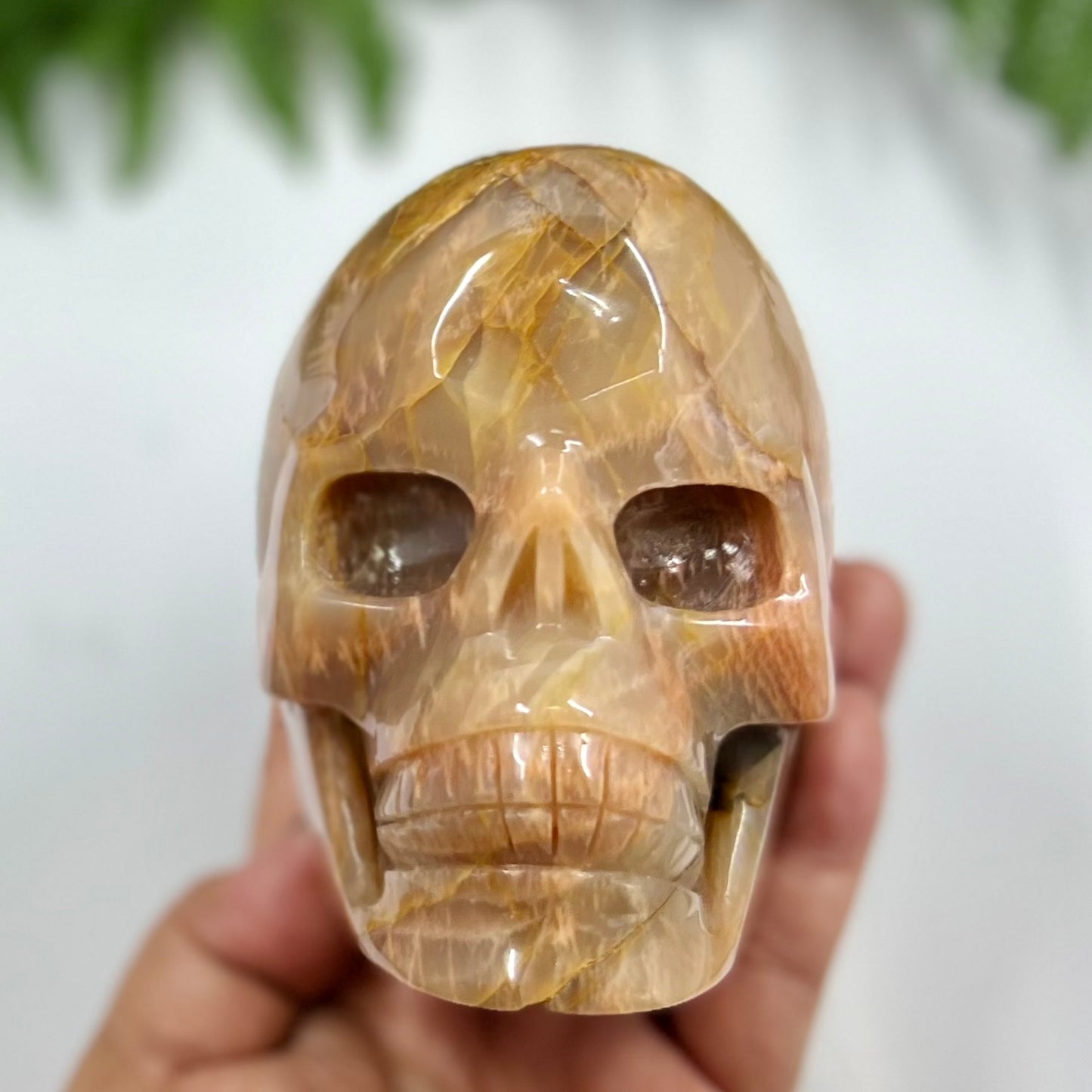 Large Golden Moonstone Skull Crystal Skull Carving 991g