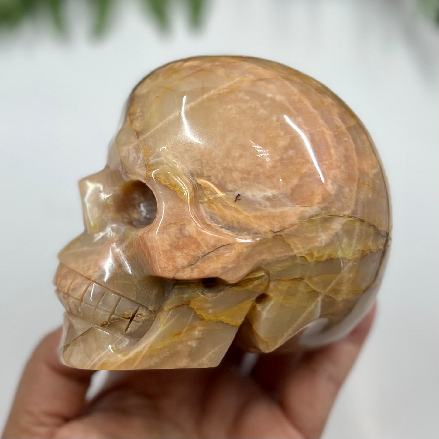 Large Golden Moonstone Skull Crystal Skull Carving 991g