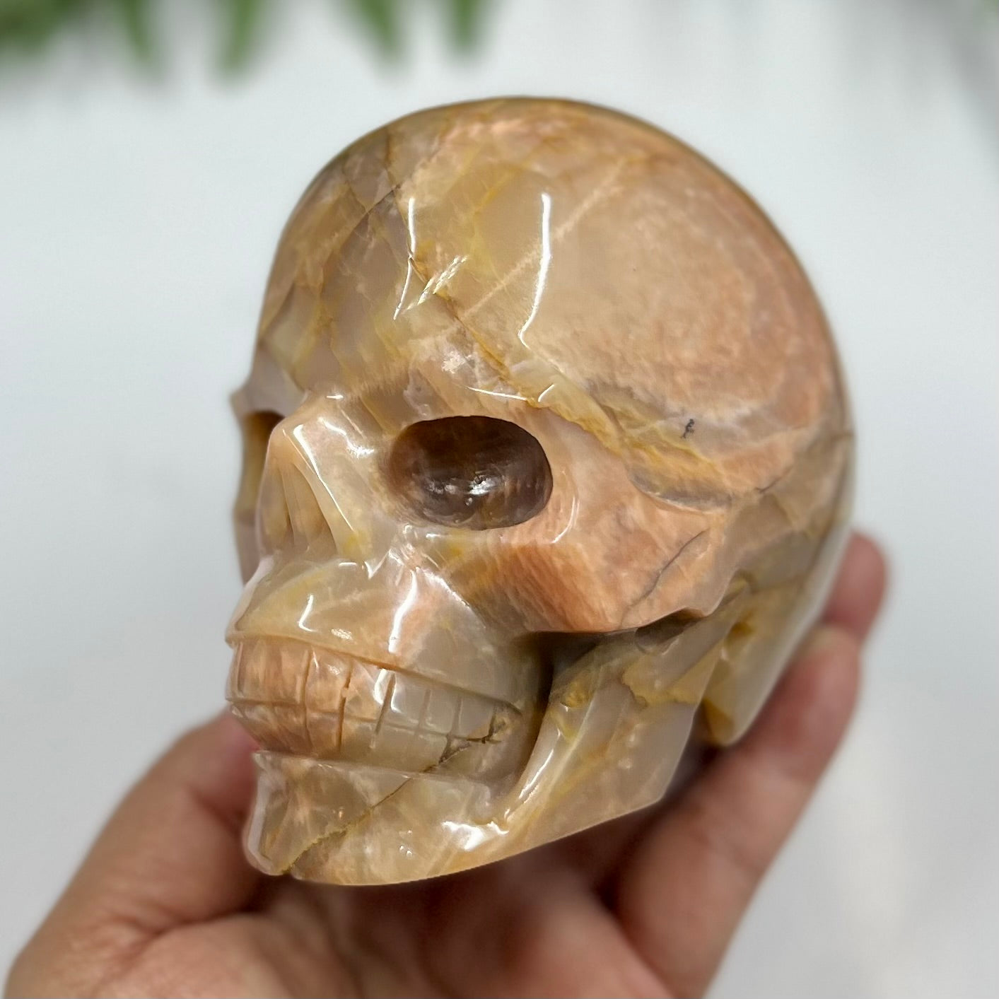Large Golden Moonstone Skull Crystal Skull Carving 991g