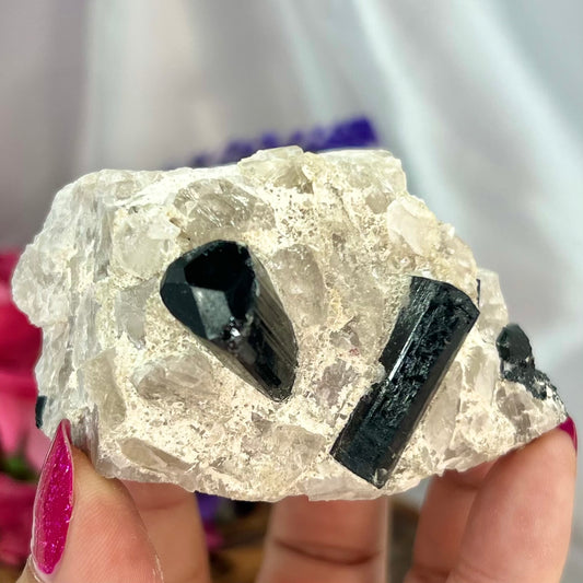 Black Tourmaline in Quartz Specimen Raw Crystal 222g