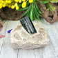 Black Tourmaline in Quartz Specimen Raw Crystal 492g