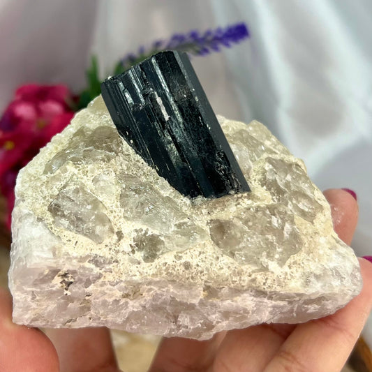 Black Tourmaline in Quartz Specimen Raw Crystal 492g