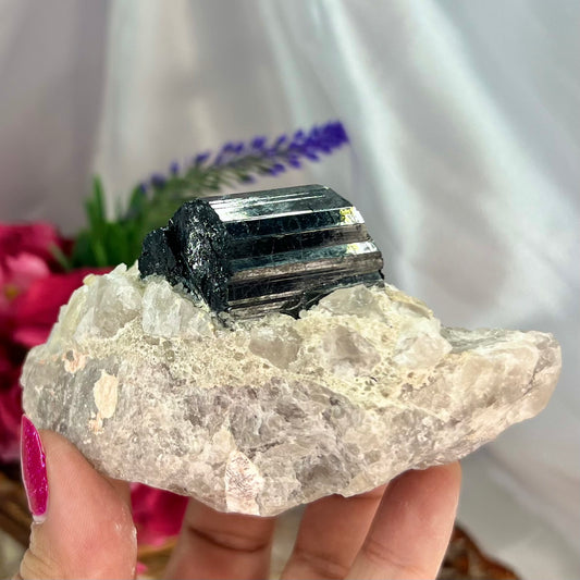 Black Tourmaline in Quartz Specimen Raw Crystal 299g