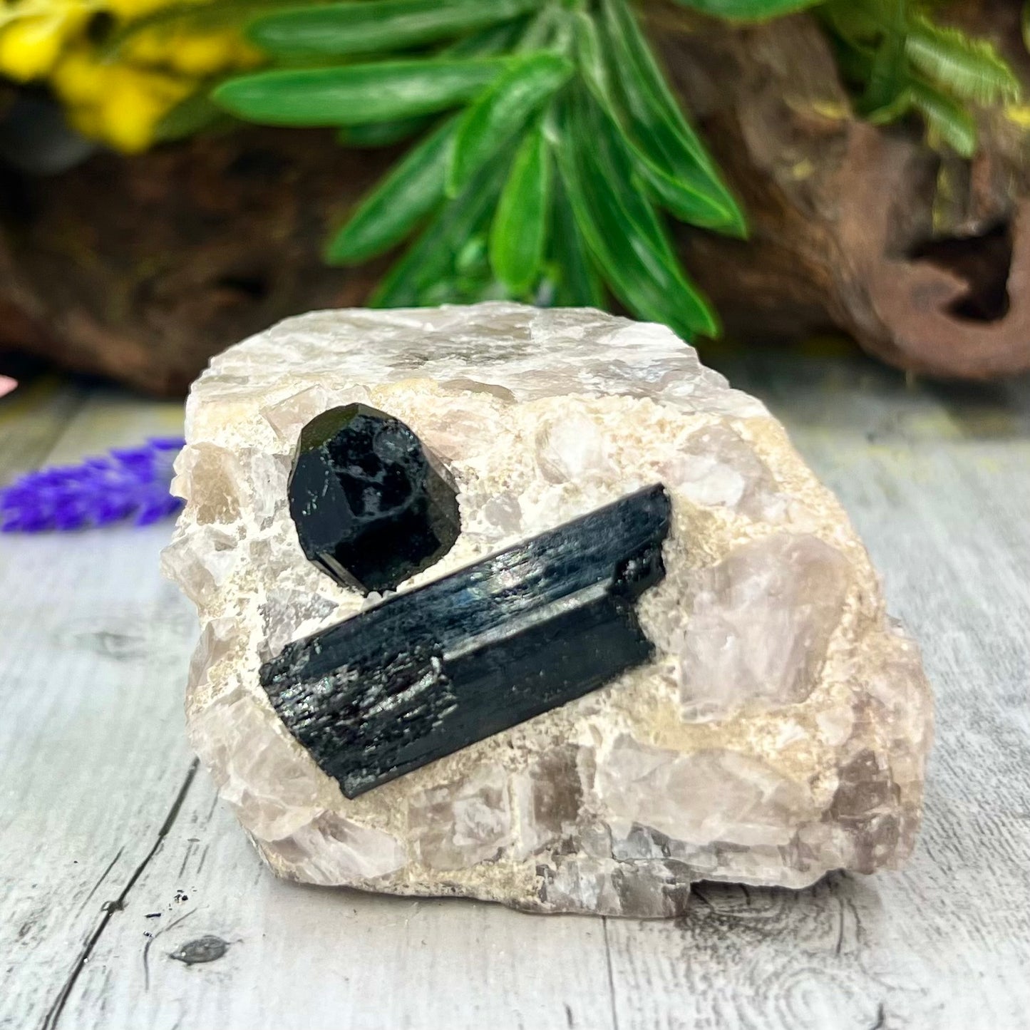 Black Tourmaline in Quartz Specimen Raw Crystal 224g