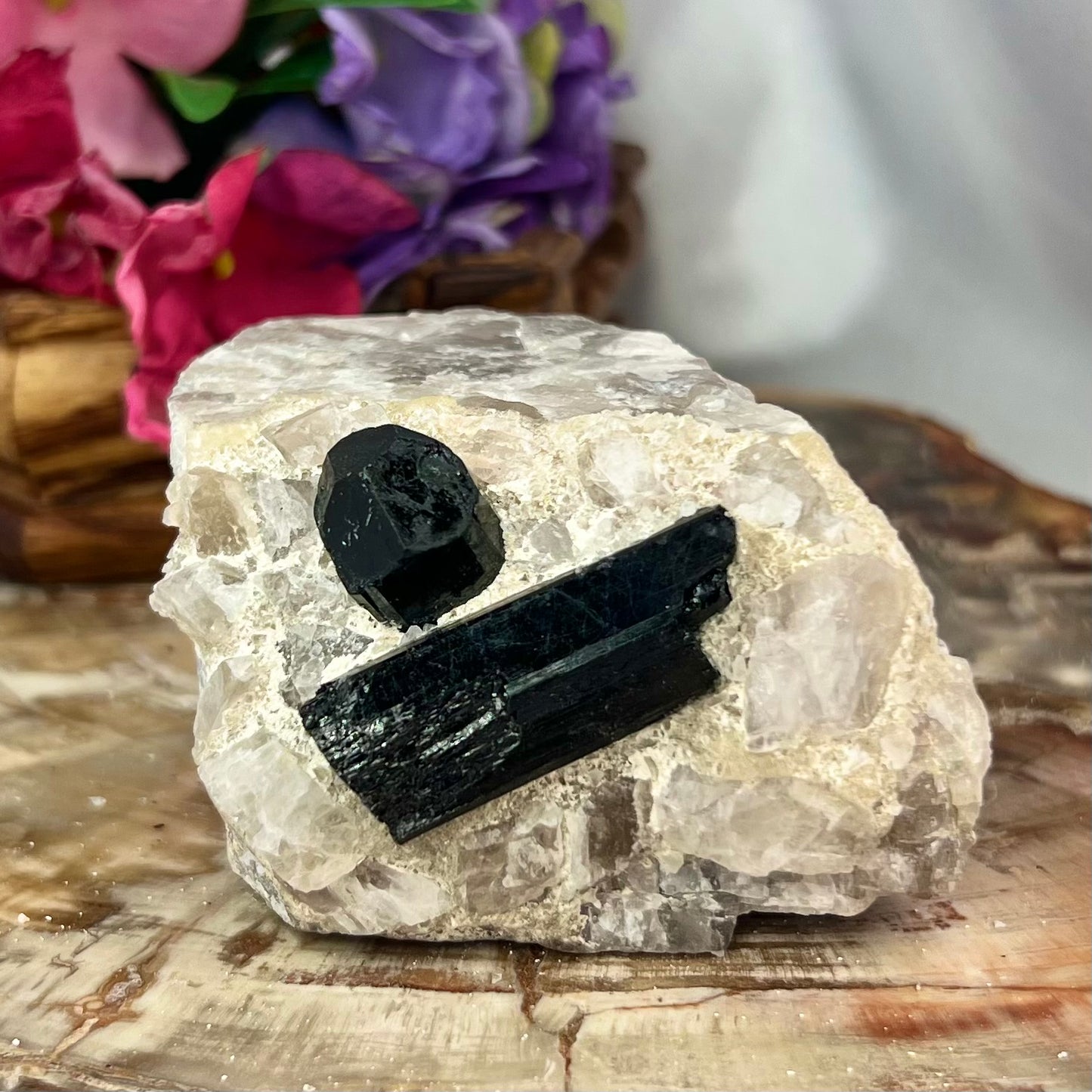 Black Tourmaline in Quartz Specimen Raw Crystal 224g