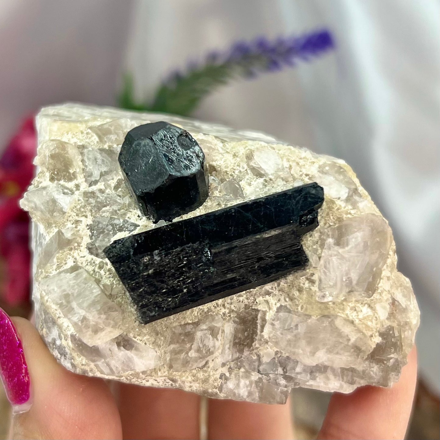 Black Tourmaline in Quartz Specimen Raw Crystal 224g