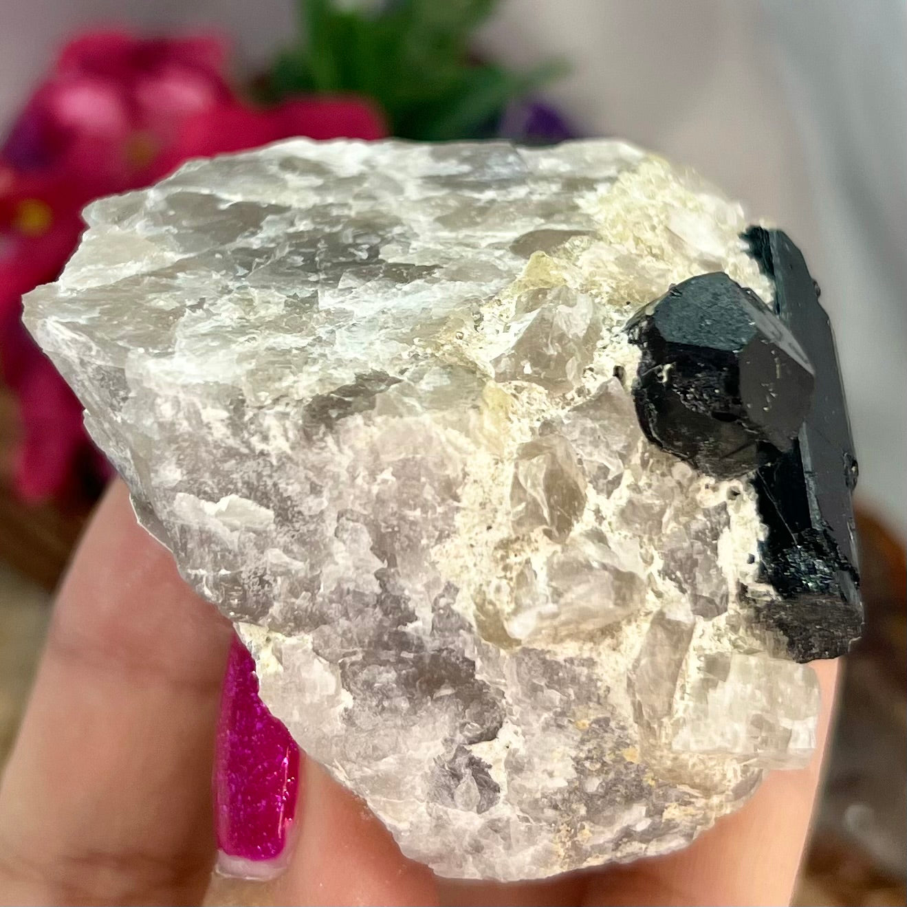 Black Tourmaline in Quartz Specimen Raw Crystal 224g