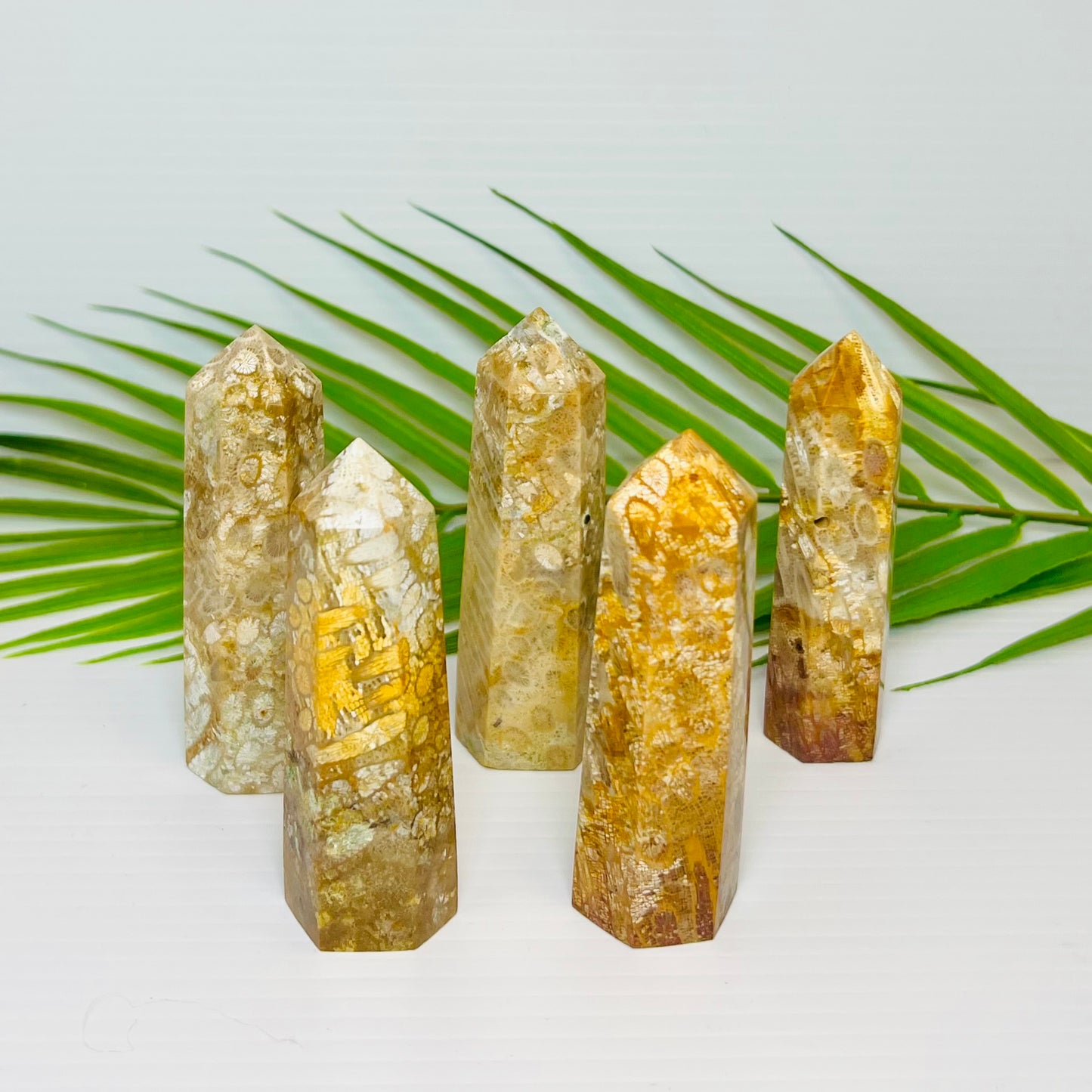 Fossil Coral Jasper Points Towers Crystal Generators YOU CHOOSE