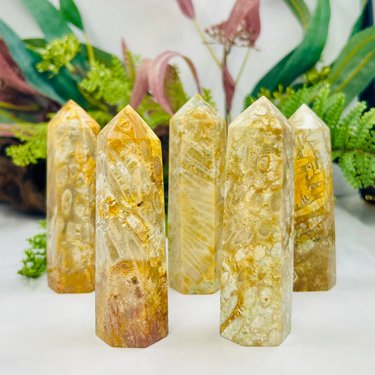 Fossil Coral Jasper Points Towers Crystal Generators YOU CHOOSE