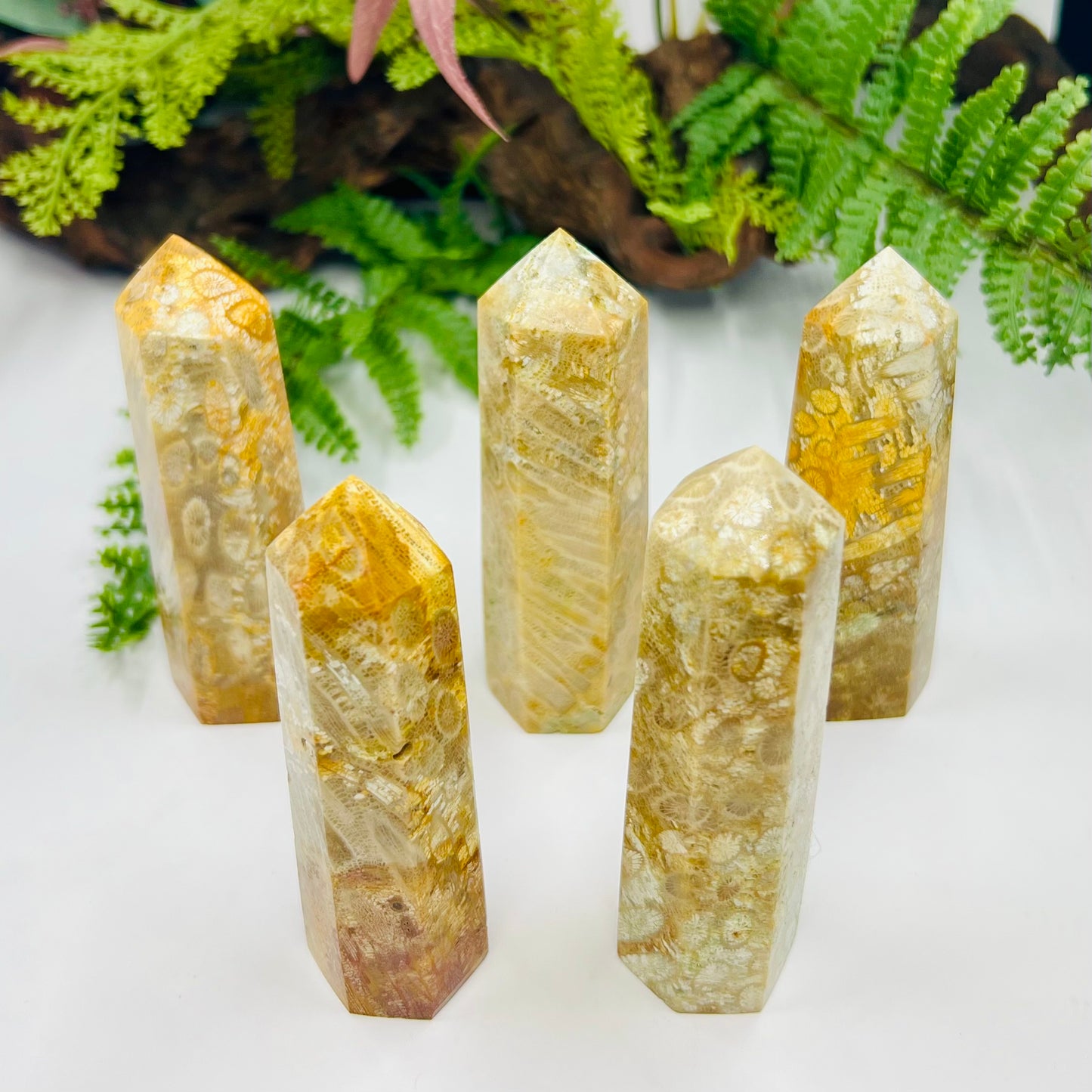 Fossil Coral Jasper Points Towers Crystal Generators YOU CHOOSE