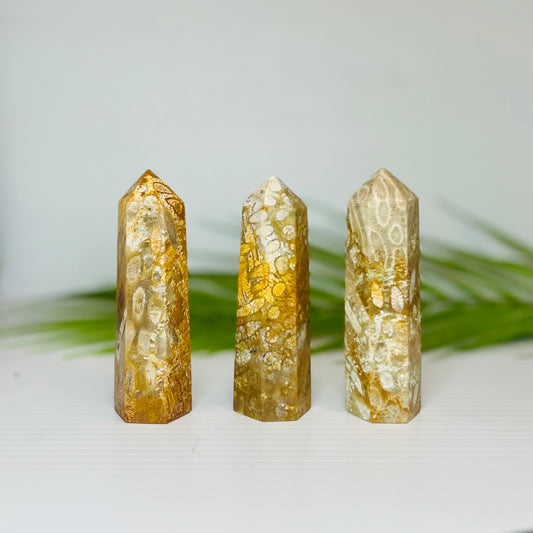 Fossil Coral Jasper Points Towers Crystal Generators YOU CHOOSE