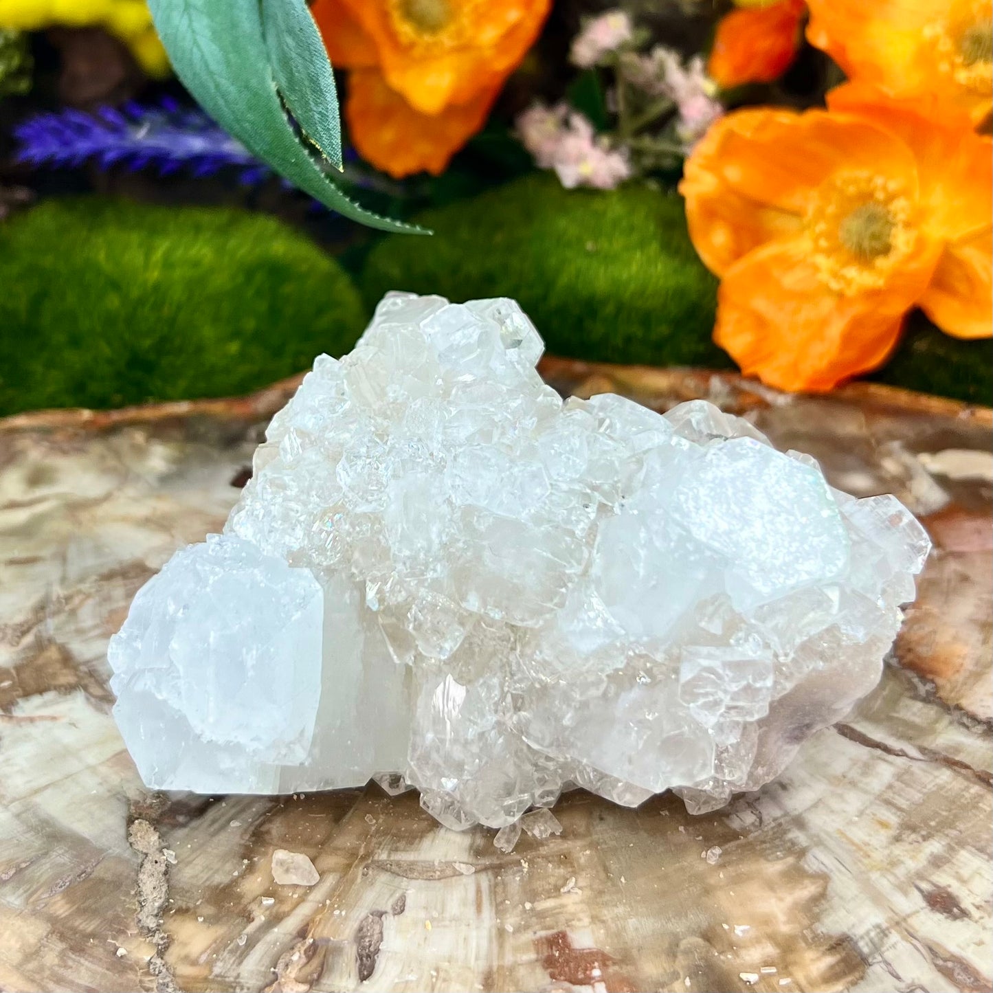 Apophyllite Cluster Natural Crystal 354g